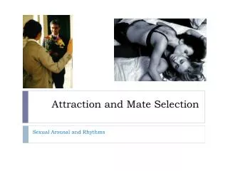 Attraction and Mate Selection