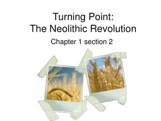 Turning Point: The Neolithic Revolution