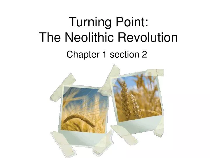 turning point the neolithic revolution