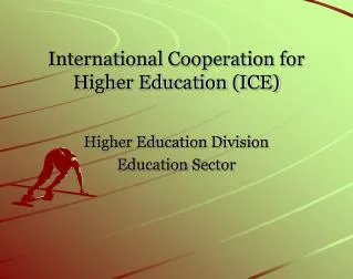 International Cooperation for Higher Education (ICE)
