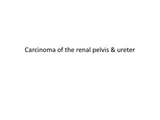 Carcinoma of the renal pelvis &amp; ureter