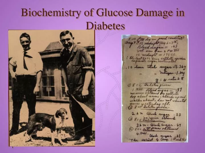 biochemistry of glucose damage in diabetes