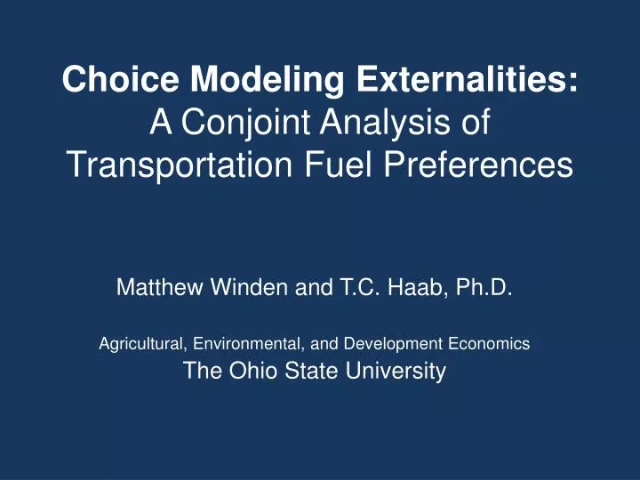 choice modeling externalities a conjoint analysis of transportation fuel preferences