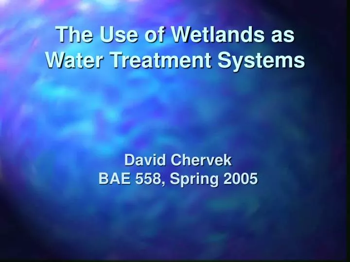the use of wetlands as water treatment systems