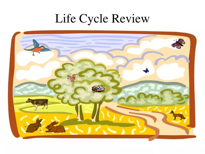 life cycle review