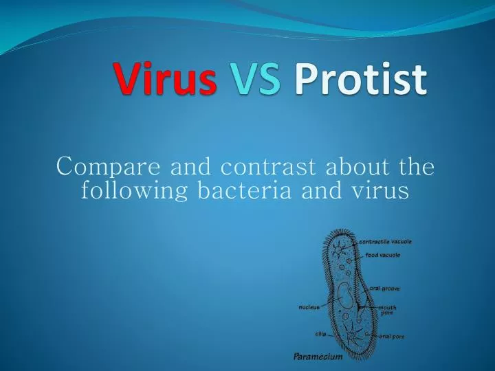 virus vs protist