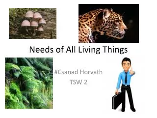 Needs of All Living Things
