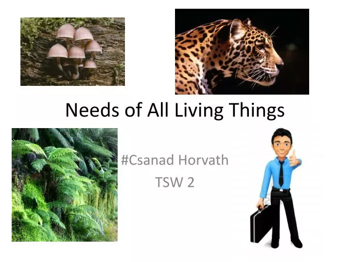 needs of all living things
