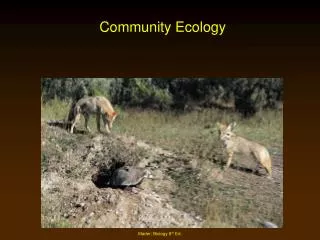 Community Ecology