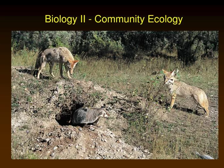 biology ii community ecology