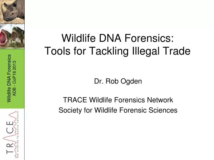 wildlife dna forensics tools for tackling illegal trade