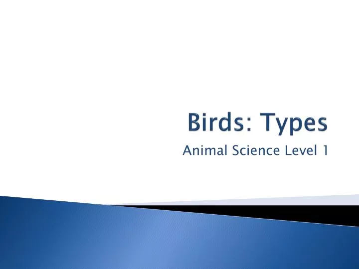 birds types