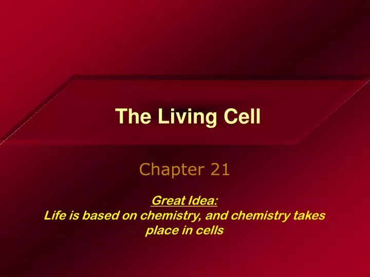 the living cell