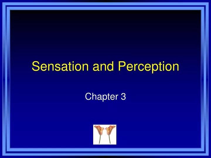 sensation and perception