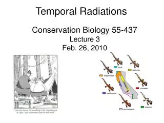 Conservation Biology 55-437 Lecture 3 Feb. 26, 2010