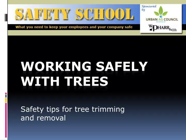 safety tips for tree trimming and removal