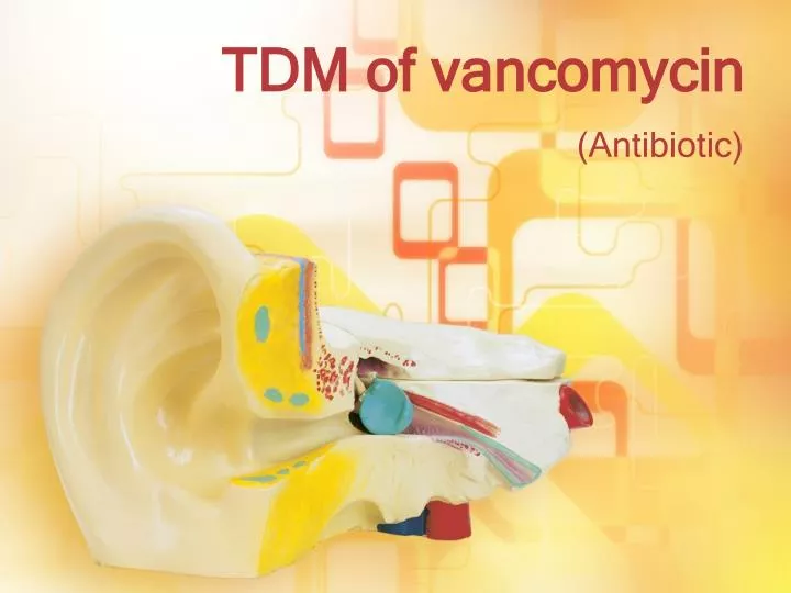 tdm of vancomycin