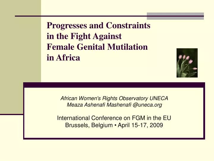 progresses and constraints in the fight against female genital mutilation in africa