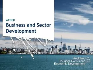 ATEED Business and Sector Development