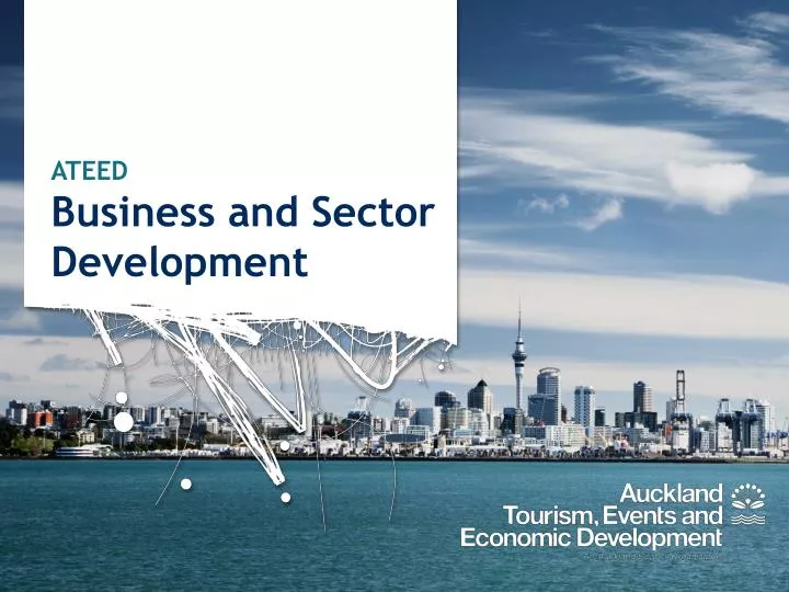ateed business and sector development