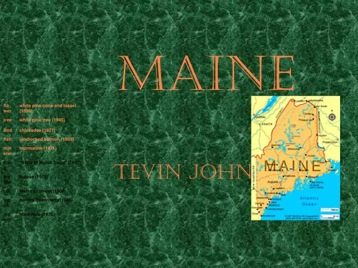 maine tevin johnson