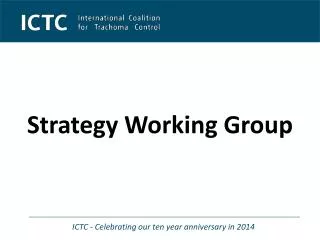 Strategy Working Group