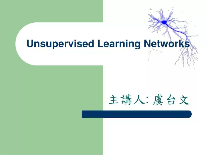 unsupervised learning networks