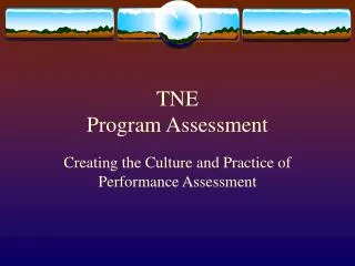 TNE Program Assessment