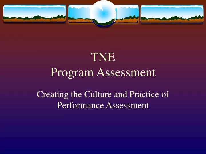tne program assessment