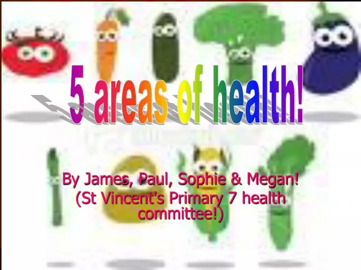 by james paul sophie megan st vincent s primary 7 health committee