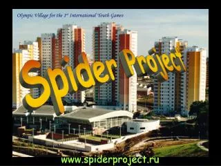 Spider Project