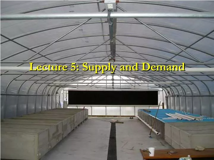 lecture 5 supply and demand