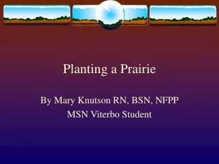 Planting a Prairie