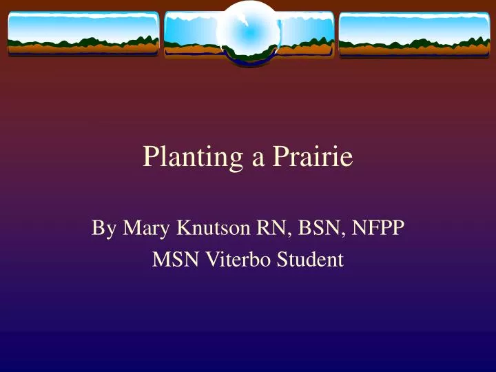 planting a prairie