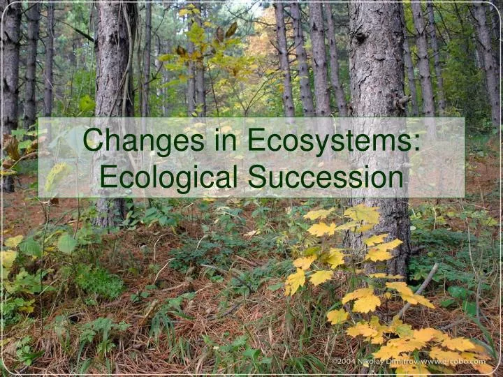 changes in ecosystems ecological succession