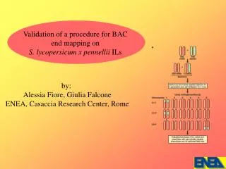 Validation of a procedure for BAC end mapping on S. lycopersicum x pennellii ILs