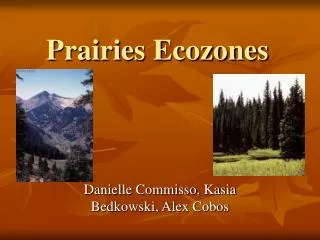 Prairies Ecozones
