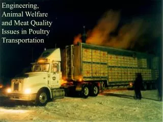 Engineering, Animal Welfare and Meat Quality Issues in Poultry Transportation