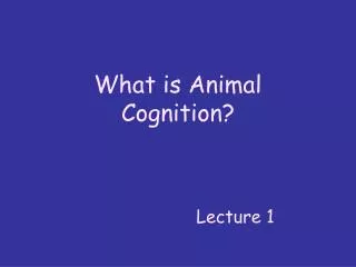 What is Animal Cognition?