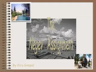 The Negev Assignment