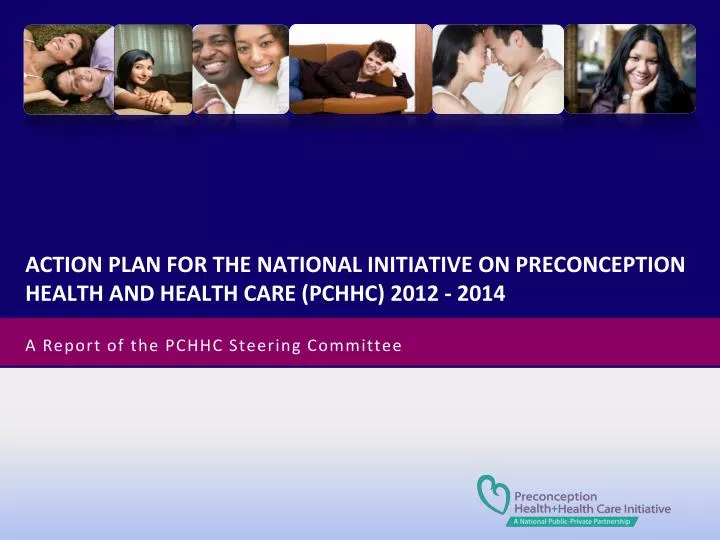 a report of the pchhc steering committee