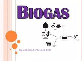 Biogas