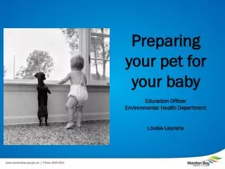 Preparing your pet for your baby