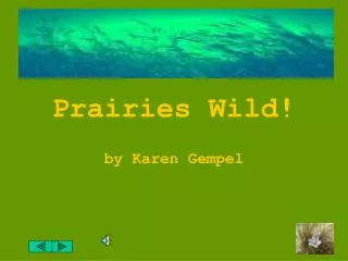Prairies Wild!