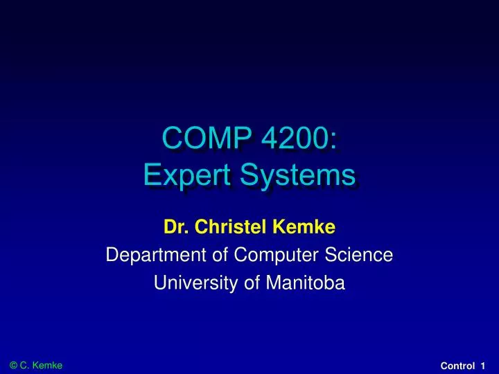 comp 4200 expert systems