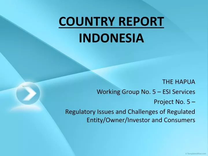 country report indonesia