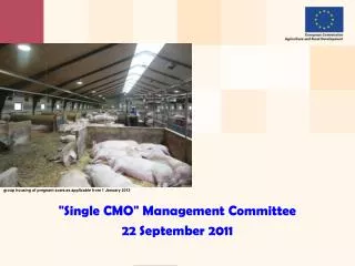 &quot; Single CMO &quot; Management Committee 22 September 2011