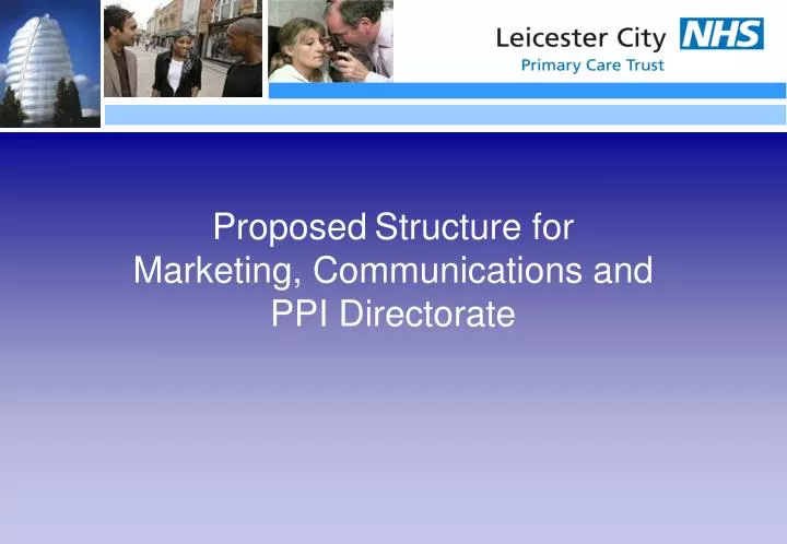 proposed structure for marketing communications and ppi directorate
