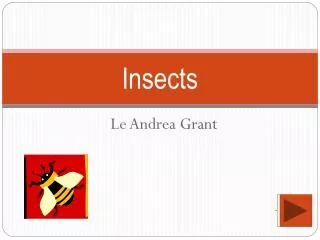 Insects