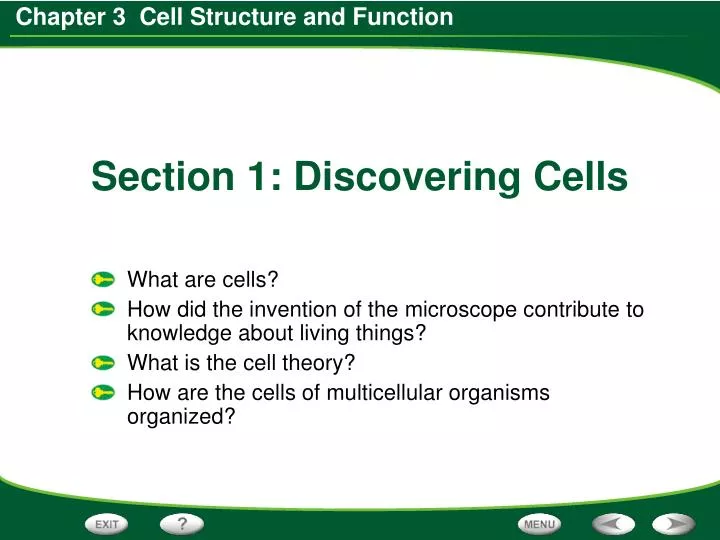 section 1 discovering cells